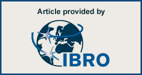 Article provided by IBRO